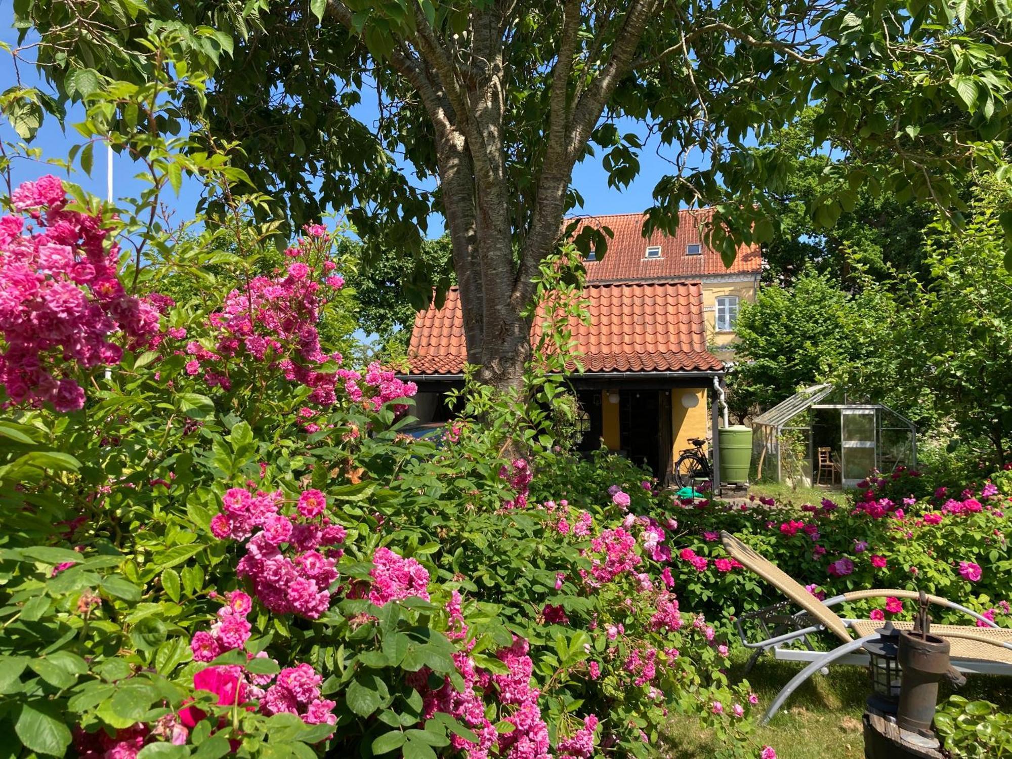 Den Gamle Skomager Hytte Ved Slotssoen Gråsten Buitenkant foto